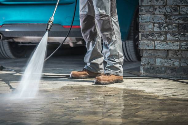 Best Graffiti Removal  in Princevle, IL