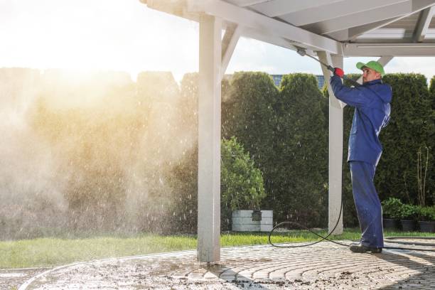 Best Sidewalk and Walkway Cleaning  in Princevle, IL