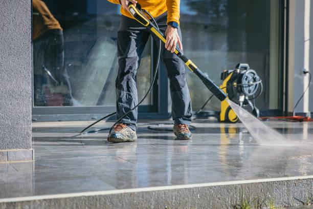 Best Dumpster Area Cleaning  in Princevle, IL